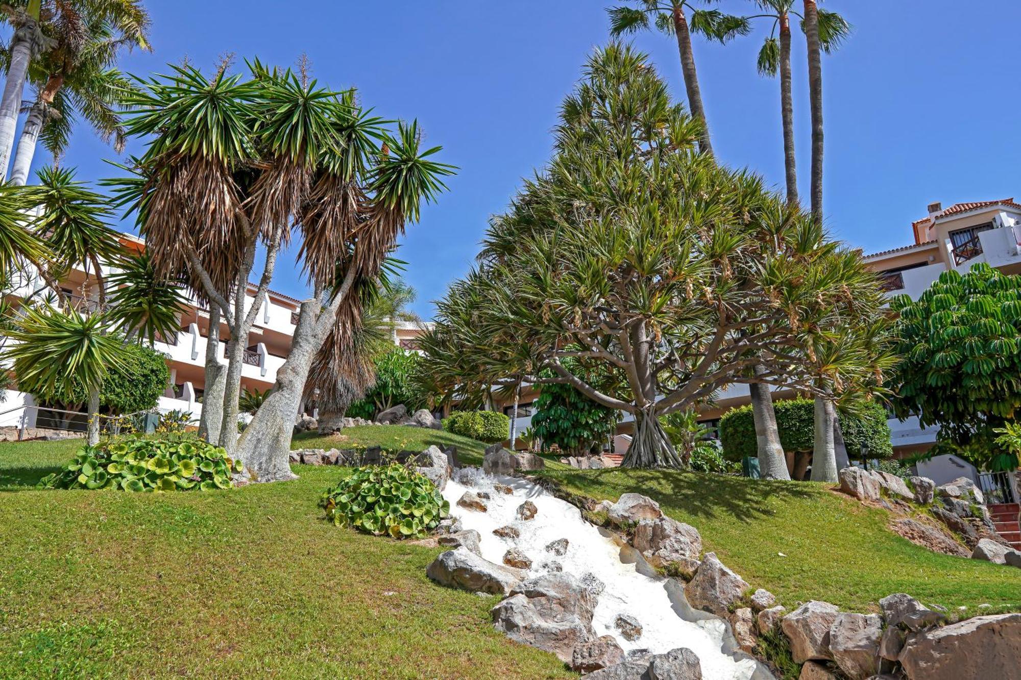 Newly Renovated, Luxurious Apartment With A Heated Pool, 259 圣米格尔德阿沃纳 外观 照片